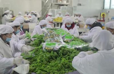 看“四園”促發展 2019網絡媒體周至行采風活動圓滿落幕，聚焦食品銷售創新